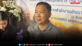 ‘อธิบดีปศุสัตว์’ ยืนยันปริมาณไข่ไก่ในประเทศมีเพียงพอต่อการบริโภค