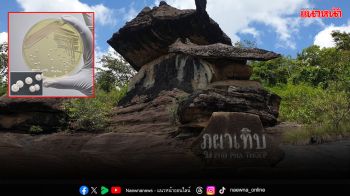 มก.ค้นพบ ‘ยีสต์เจ้าฟ้าหญิง’ ต่อยอดองค์ความรู้สู่เกษตร อาหาร เศรษฐกิจชีวภาพ