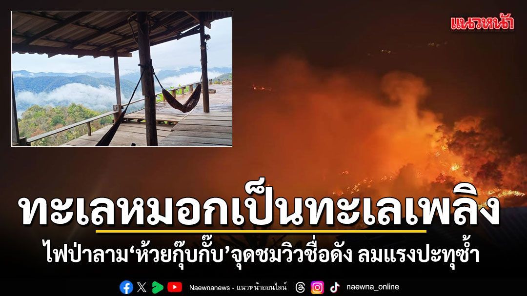 ทะเลหมอกเป็นทะเลเพลิง ไฟป่าลาม'ห้วยกุ๊บกั๊บ' จุดชมวิวชื่อดัง ลมแรงปะทุซ้ำซ้อน
