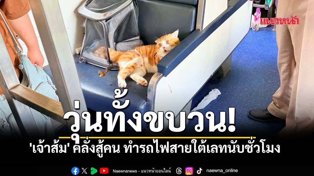 รถไฟสายใต้ล่าช้ากว่า 7 ชม. เหตุรถจักรเสีย-แมวส้มคลั่งไล่กัดเจ้าของ