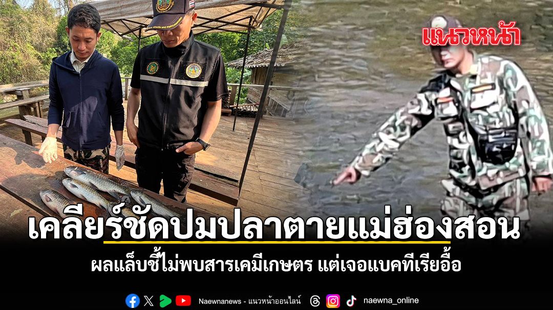 เคลียร์ชัดปมปลาตายแม่ฮ่องสอน ผลแล็บชี้ไม่พบสารเคมีเกษตร แต่เจอแบคทีเรียอื้อ