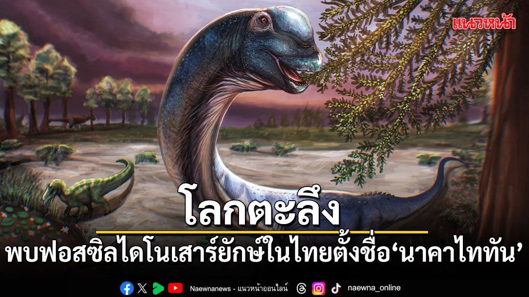 โลกตะลึง! พบฟอสซิลไดโนเสาร์ยักษ์ในไทย ตั้งชื่อ นาคาไททัน