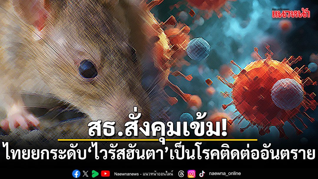สธ.สั่งคุมเข้ม! ไทยยกระดับ ไวรัสฮันตา เป็นโรคติดต่ออันตราย