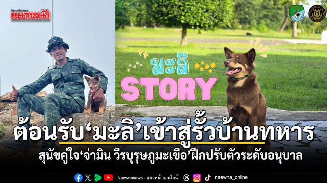 ยินดีต้อนรับ มะลิ เข้าสู่รั้วบ้านทหารการสัตว์ สุนัขคู่ใจ จ่ามิน วีรบุรุษภูมะเขือ ฝึกปรับตัวระดับอนุบาล