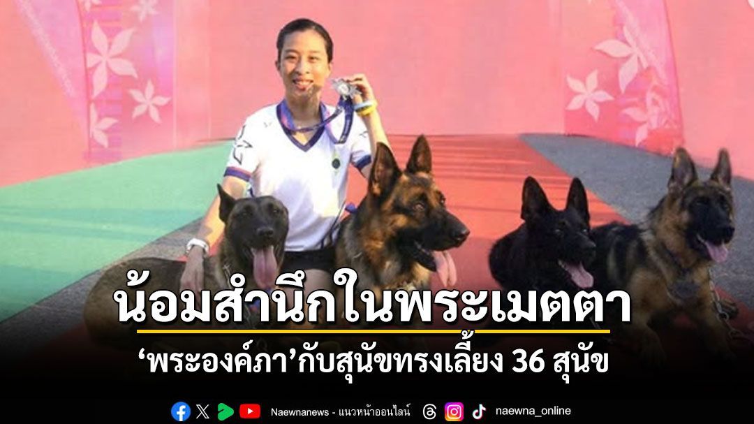 น้อมสำนึกในพระเมตตา พระองค์ภา กับสุนัขทรงเลี้ยง 36 สุนัข