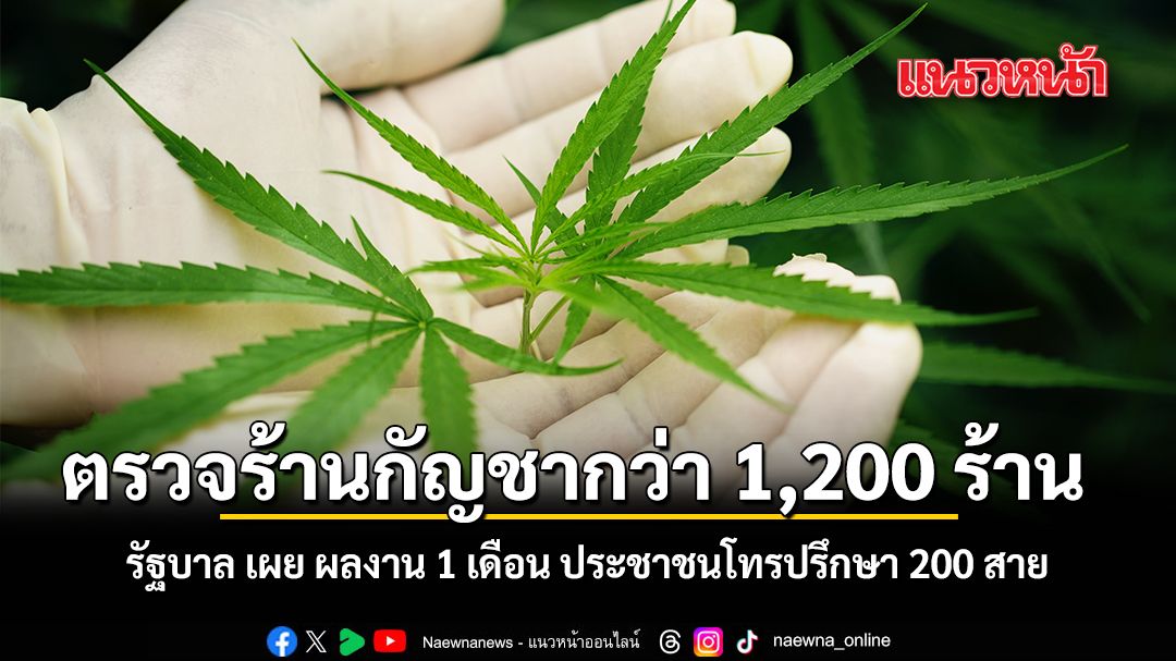 ตรวจร้านกัญชากว่า 1,200 ร้าน รัฐบาล เผย ผลงาน 1 เดือน ประชาชนโทรปรึกษา 200 สาย