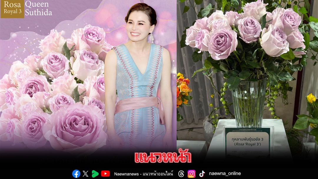‘ในหลวง’ พระราชทานนามกุหลาบสายพันธุ์ใหม่ ‘ควีนสุทิดา’ โอกาสเฉลิมพระชนมพรรษา 4 รอบ