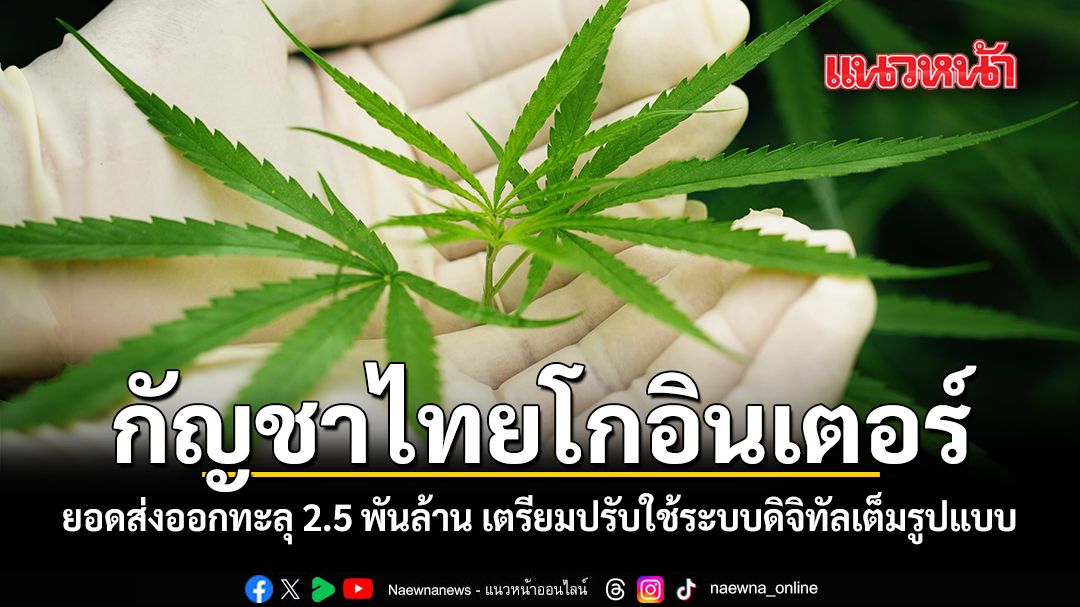 กัญชาไทยโกอินเตอร์ ยอดส่งออกทะลุ 2.5 พันล้าน เตรียมปรับใช้ระบบดิจิทัลเต็มรูปแบบ