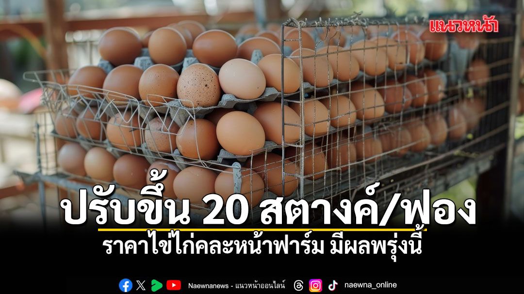 ปรับขึ้น 20 สตางค์/ฟอง!! พรุ่งนี้ราคาไข่ไก่คละหน้าฟาร์มอยู่ที่ 3.80 บาทต่อฟอง จากเดิม 3.60 บาท