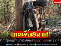 เจ็บ8นาย! จนท.ชุดดับไฟป่าแม่สลอง รถเบรกแตกลงข้างทาง