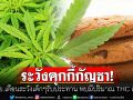 อย. เตือนระวังเด็กๆ รับประทานคุกกี้ผสมกัญชา มีปริมาณ THC สูงถึง 600 มิลลิกรัม