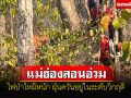 เมืองสามหมอกประสบปัญหาไฟป่าหนัก ฝุ่นควันอยู่ในระดับวิกฤติ