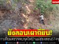 ยังลอบเผาถี่ยิบ! ดาวเทียมตรวจพบจุดไฟป่าแม่ฮ่องสอน 574 จุด