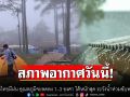 สภาพอากาศวันนี้! ทั่วไทยมีฝน ใต้หนักสุด ระวังน้ำท่วมฉับพลัน อุณหภูมิจะลดลง 1–3 องศา