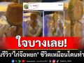 เห็นแล้วใจบางเลย! หนุ่มรีวิว \'ไก่จ๊อหยก\' สั้นๆ \'ชีวิตเหมือนโดนทำร้าย\'