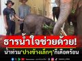 ธารน้ำใจช่วยด้วย! น้ำท่วม\'ปางช้างเล็กๆ\'ก็เดือดร้อน ขาดแคลนอาหาร