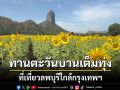 \'ทุ่งทานตะวันไร่จำรัส\'ที่เที่ยวลพบุรีใกล้กรุงเทพแชะรูปปังๆ รับลมหนาว