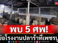 ผงะ!! พบ 5 ศพในบ่อโรงงานปลาร้าที่เพชรบูรณ์ แฉเหตุลงไปทำความสะอาดบ่อ