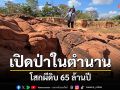 ขอนแก่นเปิดป่าในตำนาน โสกผีดิบ 65 ล้านปีแหล่งท่องเที่ยวทางธรณีวิทยาแห่งใหม่