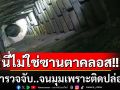 ไม่ใช่ซานต้า! หนุ่มหลบหนีการจับกุม ก่อนจนมุมเพราะปีนลงไปติดในปล่องไฟต้องให้ตำรวจมาช่วย