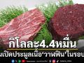 ญี่ปุ่นเปิดประมูลเนื้อ\'วาฬฟิน\'ครั้งแรกในรอบ 50 ปี