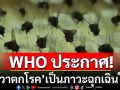 WHO ประกาศ\'อหิวาตกโรค\'เป็นภาวะฉุกเฉินใหญ่ ไทยยันควบคุมได้แล้วไม่มีผู้ป่วยเพิ่ม