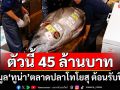 ตัวนี้ 45 ล้านบาท! ประมูล‘ทูน่า’ตลาดปลาโทโยสุ ต้อนรับปีใหม่