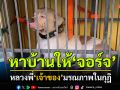 ตามหาบ้านใหม่ให้\'จอร์จ\'หมาวัด! หลังหลวงพี่\'เจ้าของสุนัข\'มรณภาพในกุฎิ