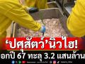 \'ปศุสัตว์\'นิวไฮ ส่งออกปี 67 ทะลุ 3.2 แสนล้านบาท \'กลุ่มเนื้อสัตว์ปีก\'สร้างสถิติใหม่