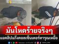 เพจดังแฉคลิประทึก!!! สายลับซ่อนตัวบนเพดาน แอบถ่าย\'แก๊งคอลฯ\'สุดโหด ทารุณเหยื่อสารพัด