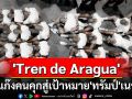 ‘Tren de Aragua’จากแก๊งคนคุก สู่องค์กรอาชญากรรมข้ามชาติที่‘ทรัมป์’สั่งเนรเทศผู้ต้องสงสัยมีเอี่ยว