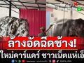 ล้างอัดฉีดช้าง! มิติใหม่คาร์แคร์ ลูกค้าพาช้างมาอาบน้ำ ชาวเน็ตแห่เอ็นดู