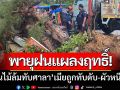 พายุฝนแผลงฤทธิ์! ‘ต้นไม้ล้มทับศาลาริมทาง’ สองผัวเมียนั่งหลบ-เมียถูกทับดับ