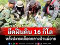 กองกำลังผาเมืองปะทะเดือดกลุ่มขบวนการขนยาเสพติดยึดฝิ่นดิบ 16 กิโลกรัม