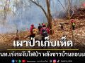 จนท.เร่งดับไฟป่าในแม่ฮ่องสอน หลังชาวบ้านลอบเผาป่าหวังเก็บเห็ด