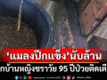 ‘แมลงปีกแข็ง’นับล้านตัวบุกยึดบ้านหญิงชราวัย 95 ปีป่วยติดเตียง มันมา 5 ปีติดช่วงร้อนชื้น