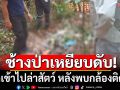 ช้างป่าเหยียบคนเสียชีวิต คาดเข้าไปล่าสัตว์ หลังพบกล้องติดปืน-คดีเก่าล่าสัตว์