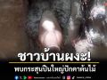 ชาวบ้านผงะ!เข้าไปหาของป่าพบลูกกระสุนปืนใหญ่ปักคาต้นไม้ในป่าพนมดงรัก