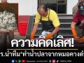 ความคิดเลิศ! ตร.เมืองสมุทรสงคราม-นำทีม ‘ทำน้ำปลาจากปลาหมอคางดำ’