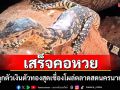 ฮือฮา!น้อง\'ลูซี่\'ลูกตัวเงินตัวทองสุดเชื่องโผล่ตลาดสดนครนายกชาวบ้านแห่ชม ถ่ายรูป ส่องเลข