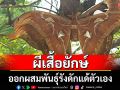 ฮือฮา! \'ผีเสื้อยักษ์\' ออกผสมพันธ์ุรังดักแด้ตัวเอง เจ้าของบ้านเชื่อมาให้โชค