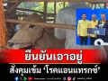 \'อิทธิ\'ยืนยันเอาอยู่ สั่งกรมปศุสัตว์คุมเข้ม \'โรคแอนแทรกซ์\'