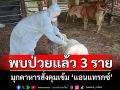 มุกดาหารวิกฤติพบผู้ป่วยติดเชื้อโรคแอนแทรกซ์เพิ่ม 1 รายรวม 3 รายสั่งคุมเข้ม