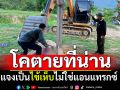 น่านพบโคตายที่อำเภอปัว ปศุสัตว์แจงเป็นไข้เห็บ ไม่ใช่แอนแทรกซ์