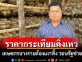 เกษตรกรแม่ฮ่องสอนเครียดราคากระเทียมดิ่งเหว บางรายต้องเผาทิ้ง วอนรัฐช่วย