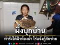 \'ผึ้งโพรง\'บุกทำรังใต้ฝ้าห้องน้ำ แจ้งกู้ภัยช่วยอย่างปลอดภัย