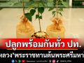 \'ในหลวง\'พระราชทานต้นพระศรีมหาโพธิ์ ปลูก 77 จังหวัดพร้อมกันทั่วประเทศ