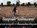 ชาวนาบุรีรัมย์ถือฤกษ์ดี ‘วันพืชมงคล’ เริ่มไถนาเพาะปลูกข้าว-เชื่อผลผลิตเจริญงอกงามดี