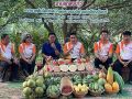 ศรีสะเกษดัน \'ส้มโอบ้านตาด\' เป็นแหล่งท่องเที่ยวชุมชน จัดงานใหญ่ 14-16 พ.ค.