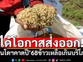ได้โอกาสส่งออก! ‘อินโดนีเซีย’เผยปี’68คาดผลผลิตข้าวเหลือเกินบริโภคในปท.